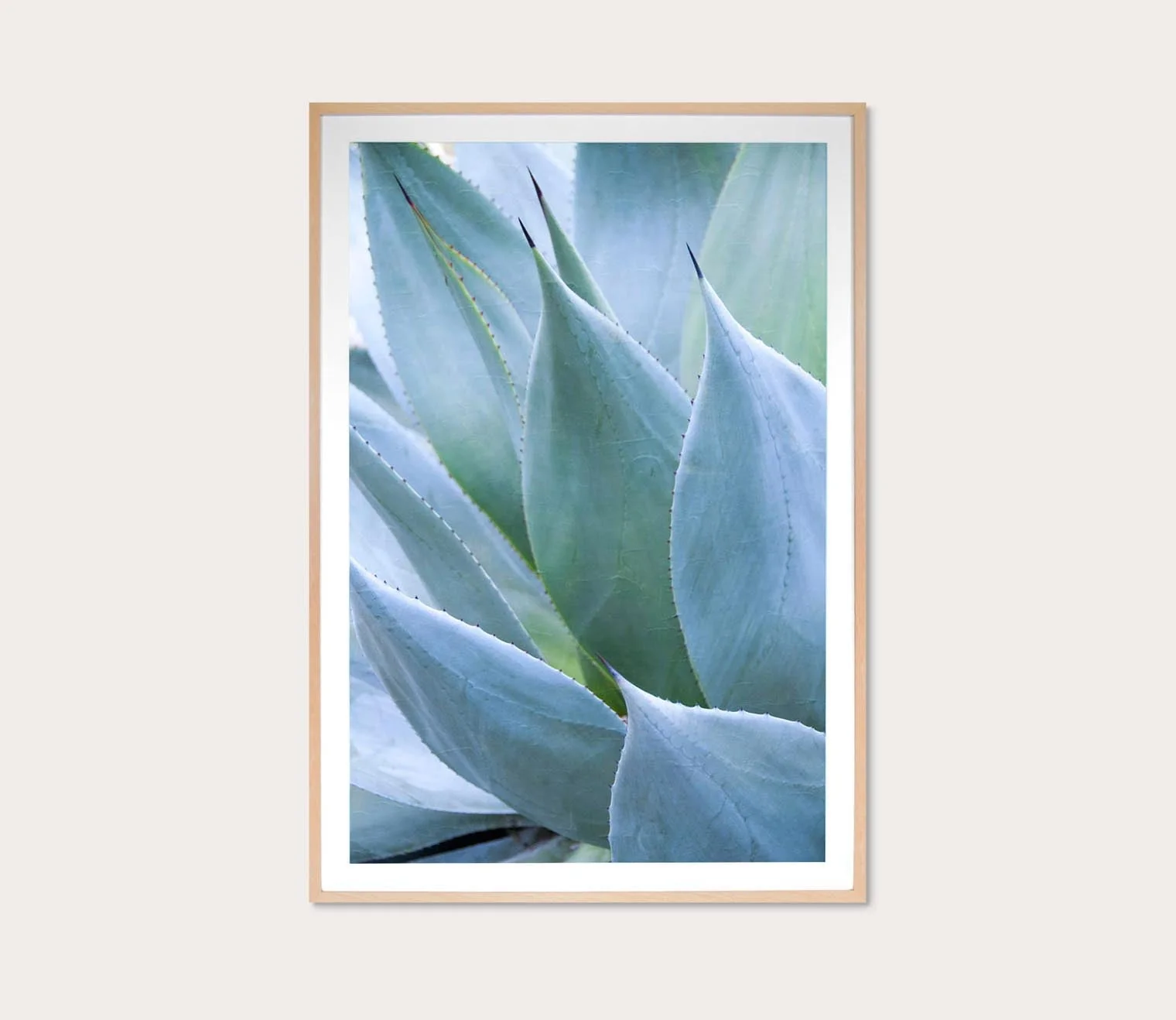 Grand Image Agave 1 Digital Print - Image 4